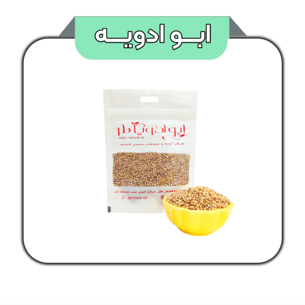 گیشنیز