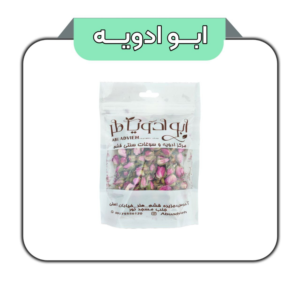 غنچه گل محمدی